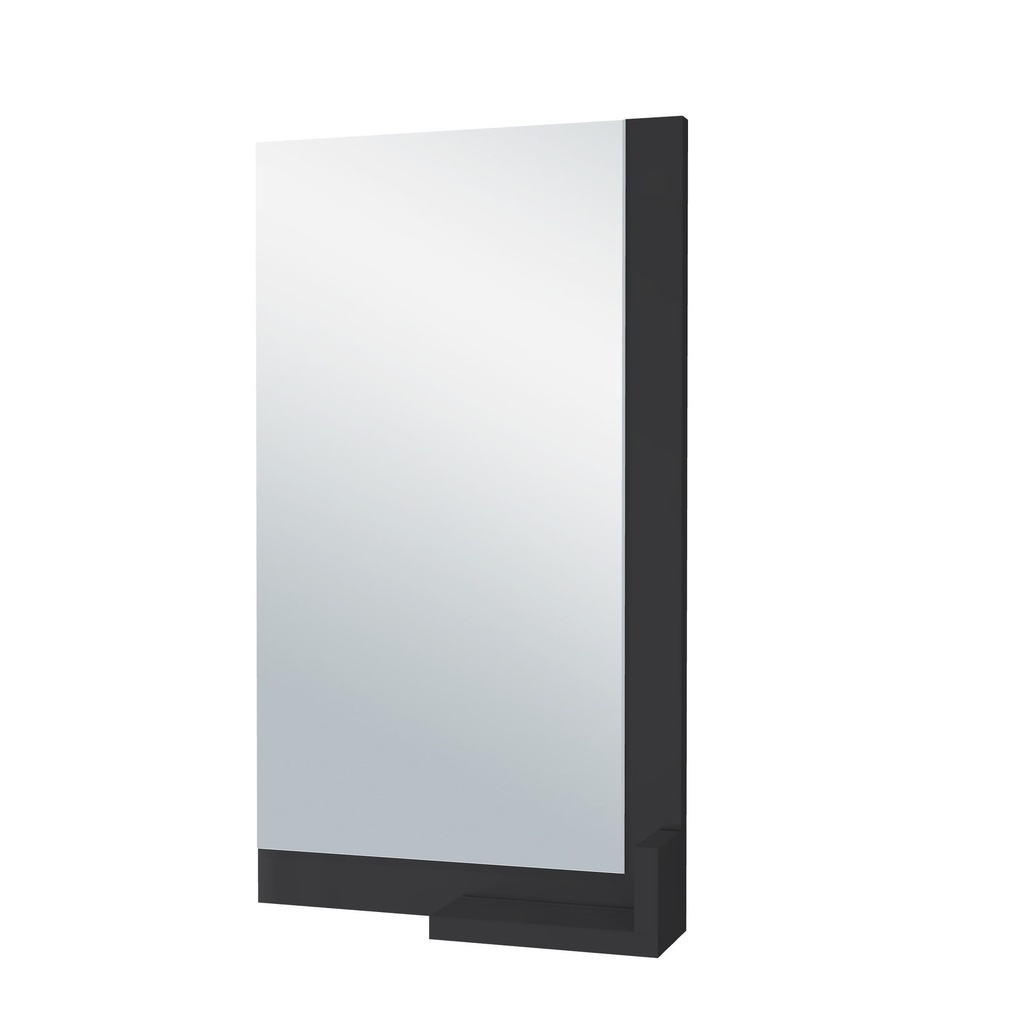 Venlo toilet Spiegel Base Collection (Mat zwart, 40 cm) 41